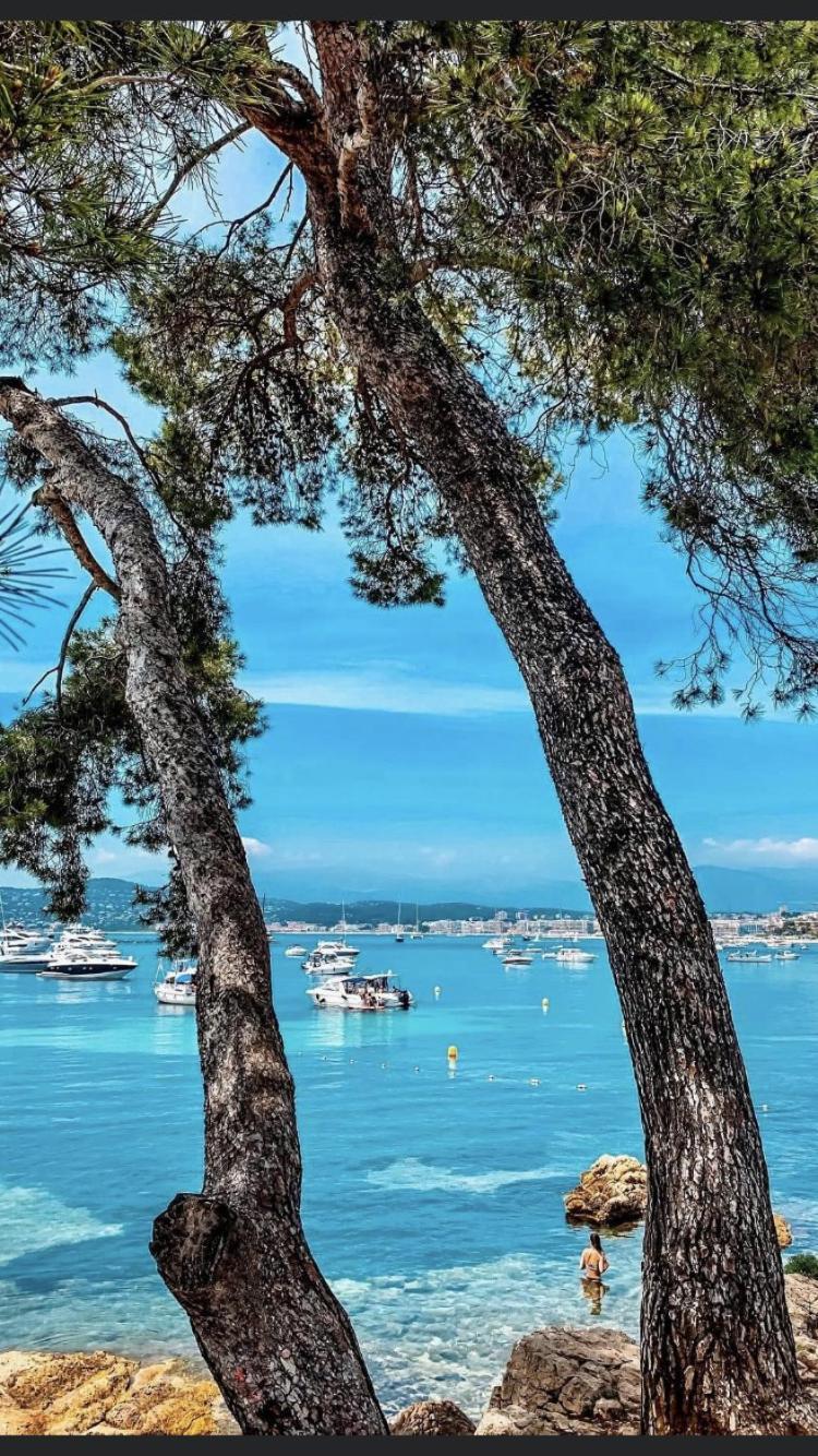 Beautiful Apartment Design Next To The Sea Antibes Exterior photo